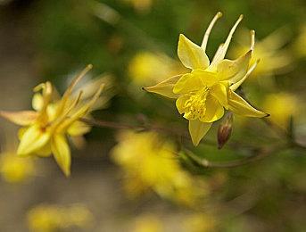 台积电1至2万片晶圆因地震受损 大部分需要报废